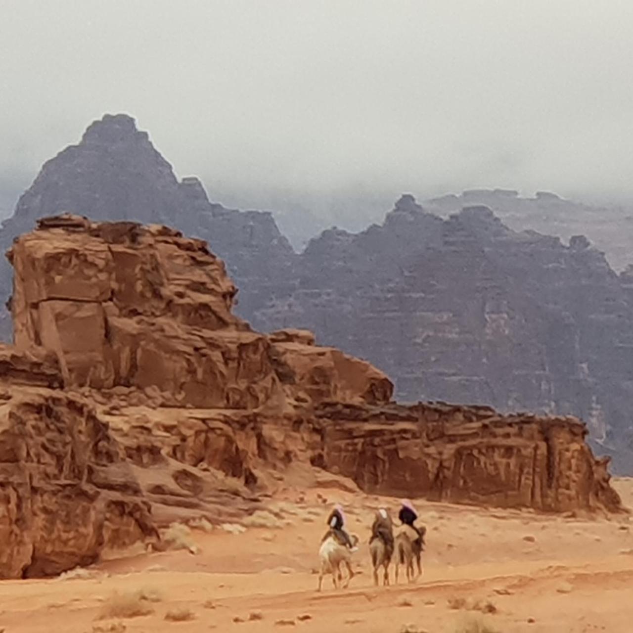 Real Bedouin Experience Tours & Camp Hotell Wadi Rum Eksteriør bilde