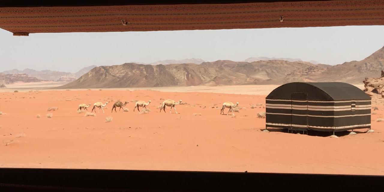 Real Bedouin Experience Tours & Camp Hotell Wadi Rum Eksteriør bilde